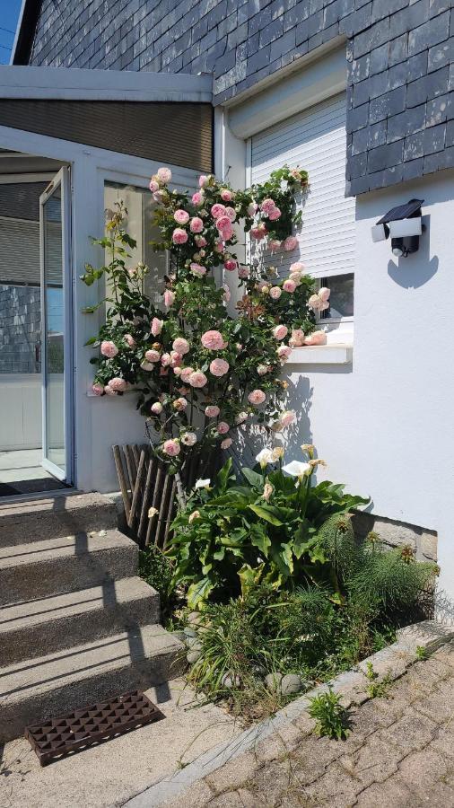Maison 2 Chambres Spa Centre Ville Spa カンペール エクステリア 写真